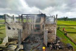 Kandang Ayam di Sleman Terbakar, Kerugian Ratusan Juta