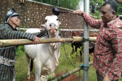 Memperingati Hari Kemerdekaan, Pemerintah Harus Selaras Maju