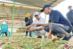 Sinergi dan Gotong Royong Jadi Ikhtiar Pengelolaan Sampah Perkotaan