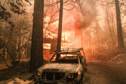 20.000 Penduduk Dievakuasi Imbas Kebakaran Hutan di Kanada