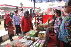 Teknologi Makin Maju, UMKM di Sleman Diminta Segera Membuka Diri
