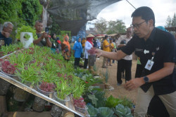 Hanya Punya 52 Hektar Pertanian, Ini yang Dilakukan Warga Kota Jogja..