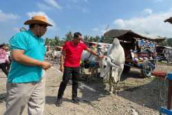 Festival Gerobak Sapi Jadi Ajang Kreatifitas Para Bajingan
