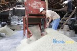 Banyak Usaha Penggilingan Padi Tutup, Ini Biang Keroknya!