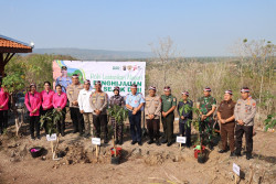 Polda DIY Tanam Ribuan Bibit Pohon di Bukit Watu Gagak Bantul