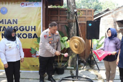 Jomblangan Bantul Ditetapkan Sebagai Kampung Tangguh Bebas Narkoba
