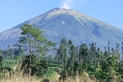 Gunung Sumbing Kebakaran, Puluhan Pendaki Dievakuasi