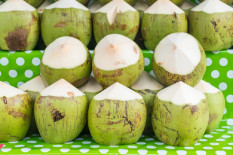 Minum Air Kelapa Muda Setiap Hari, Bolehkah? Ini Penjelasan Pakar