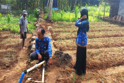 Warga Gunungkidul Diminta Manfaatkan Pekarangan Rumah untuk Bertani, Pemkab: Bisa Jadi Duit