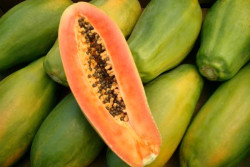 10 Manfaat Biji Pepaya untuk Kesehatan