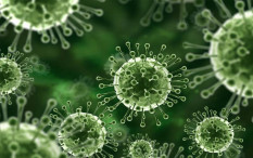 Ini Gejala dan Penularan Virus Nipah dari Manusia ke Manusia