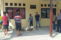 Dua Maling Kambing Diamuk Warga di Kawasan Pantai Drini Gunungkidul