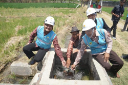 Hemat Biaya dan Ramah Lingkungan, Petani di Pemalang Beralih dari Diesel ke Listrik PLN