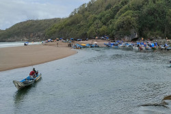 Nelayan Gunungkidul Berhenti Menangkap Benur Gara-gara Harga Anjlok