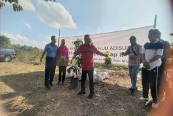 Jaga Ketahanan Pangan, Puluhan Hektare Kawasan Lanud Adisutjipto Dijadikan Lahan Pangan