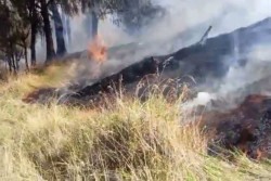 Kebakaran di Gunung Lawu Meluas, Api Masuk Jalur Pendakian dan Kompleks Warung di Puncak