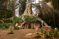 Mengintip Tempat Staycation Berbentuk Tempat Tinggal Shrek dan Istrinya