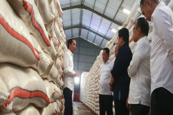 Pengamat Sebut Impor Beras Era Jokowi Terbesar Sepanjang Sejarah