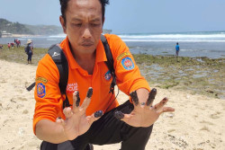 2 Pantai di Gunungkidul Tercemar Limbah Kental Mirip Minyak, Begini Penampakannya