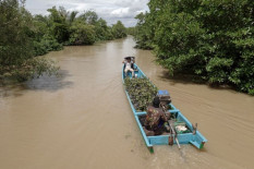 Selamatkan Segara Anakan, Danau Air Asin di Cilacap yang Jadi Pusat Keberagaman Hayati