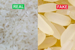 Beras Plastik Diisukan Beredar Luas, Ini Kata Pakar IPB