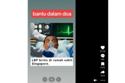 Luhut Dikabarkan Kritis di Singapura, Begini Faktanya