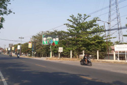 Baliho OPD di Bantul Banyak Dipakai Iklan Politik, Sekda: Sudah Kami Tindaklanjuti