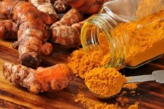 Kembangkan Tanaman Herbal, Petani Gunungkidul Mendapat Bantuan Puluhan Ton Benih Kunyit