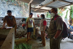 Peternak di Jogja Didorong Kantongi SKKH, Ini Keuntungannya