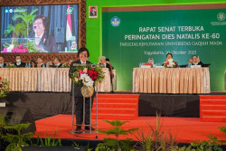 Sektor Kehutanan Diklaim Telah Lama Alami Turbulensi