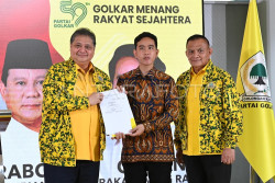 Pengamat: Golkar Buru Efek Ekor Jas Dukung Prabowo-Gibran