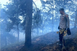 Kawasan Hutan di Gunung Merbabu Terbakar