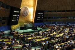 Ini Daftar 14 Negara Menolak Gencatan Senjata Israel-Palestina