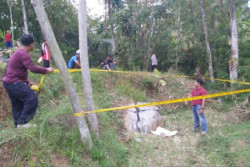 Pekerja Tewas saat Ledakkan Batu, Tubuh Terlempar 5 Meter
