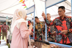 UMKM Diminta Pahami soal Pengadaan Barang dan Jasa via Toko Daring
