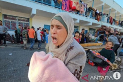Israel Gempur Sekolah PBB Tempat Warga Gaza Berlindung, 15 Pengungsi Tewas