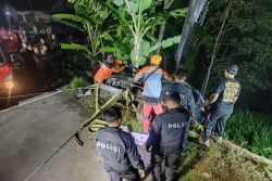 Lupa Tarik Hand Rem, Livina Terjun Bebas ke Jurang di Tawangmangu