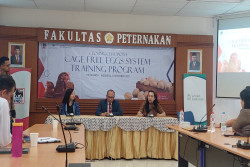 Superindo Gandeng UGM dan Global Food Partners Gelar Pelatihan untuk Produksi Telur Ayam Bahagia