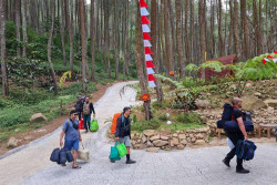 Menikmati Kesejukan Hutan Pinus Lereng Gunung Andong di Pinea Forest Mangli