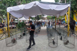 Disdagfest 2023, Gaungkan Spirit Pasar Rakyat