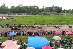 Kejuaraan Pacuan Kuda Jogja Dukung Ekonomi dan Pariwisata