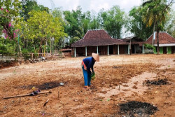 Memasuki Musim Hujan, Petani Gunungkidul Memulai Masa Tanam