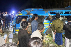 11 Orang Tewas Dalam Kecelakaan Kereta Api vs Elf di Lumajang