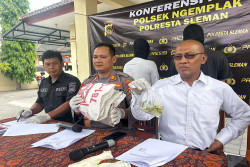 Tergiur Harga Cabai Tinggi, Warga Klaten Curi Tanaman Lombok di Sleman
