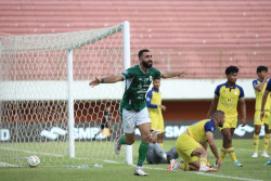 Hasil Liga 1 PSS Vs Barito 2-1, Begini Kata Risto setelah Bawa Super Elja Akhiri Paceklik