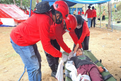 Didukung Kemensos, Kulonprogo Bentuk Satu Kampung Siaga Bencana Baru di Sini