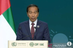 Indonesia Membutuhkan Investasi untuk Mewujudkan Emisi Nol Bersih 2060