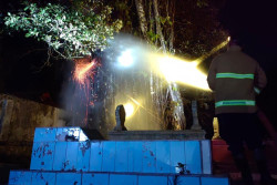 Gegara Bakar Sampah, Pohon Berusia Ribuan Tahun di Tengah Makam Terbakar