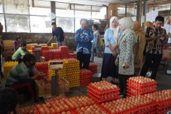 Harga Cabai Gunungkidul Tertinggi di DIY, 100 Ribu per Kilogram