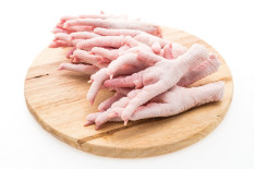Ceker Ayam Ternyata Punya Banyak Manfaat bagi Kesehatan